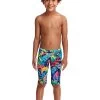 Funky Trunks Toddler Boys Palm Off Eco Miniman Jammer