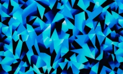 Funky Trunks Lightspeed Toddler Boys Printed Trunks